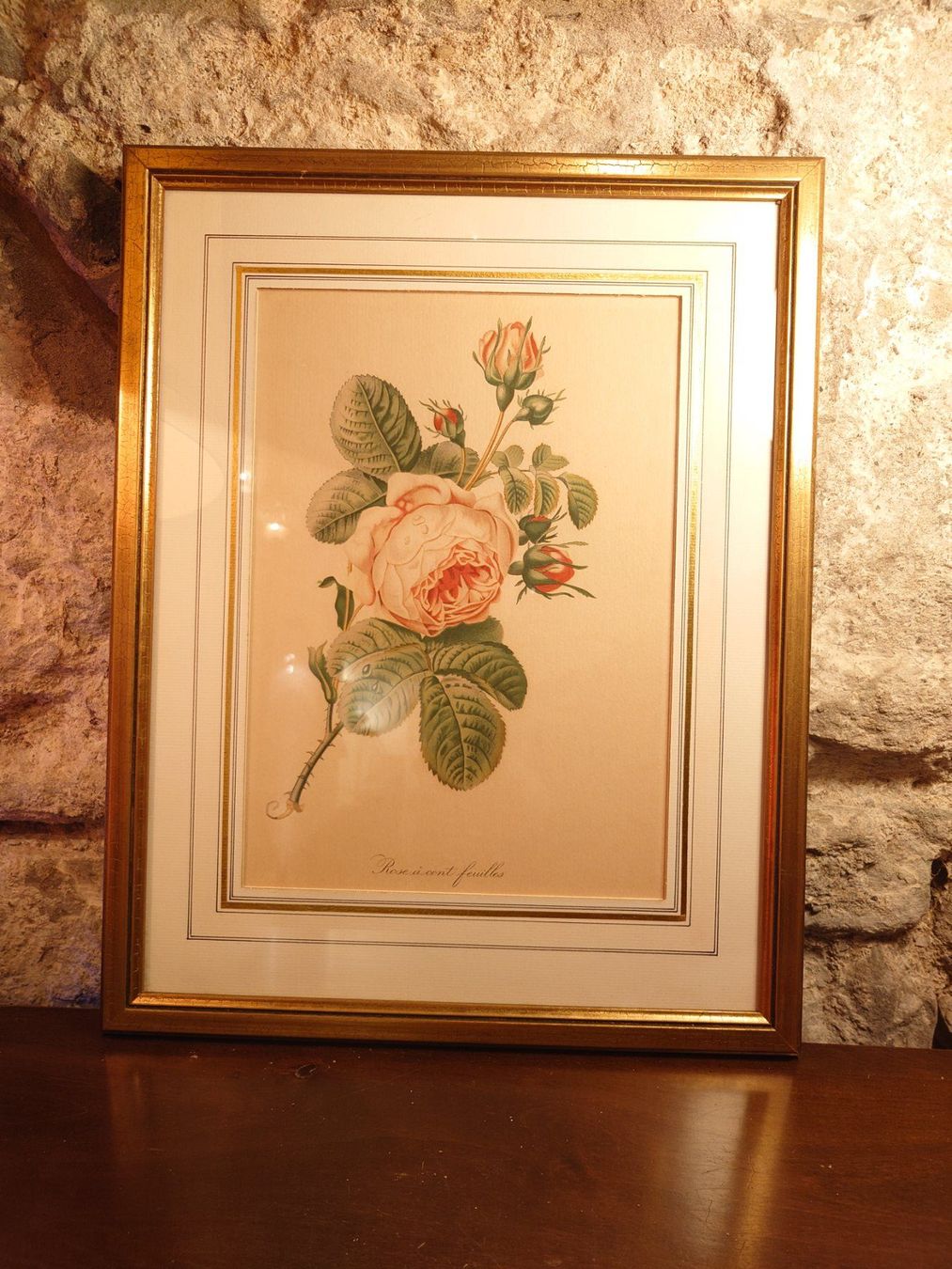 Dipinti: Antikes Bild "Rose à cent feuilles" Pierre-Joseph Redouté – Usato da Zürich venduto da Rst7 3