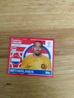 🤩 NED 16 - Topps Euro 2024 Sticker