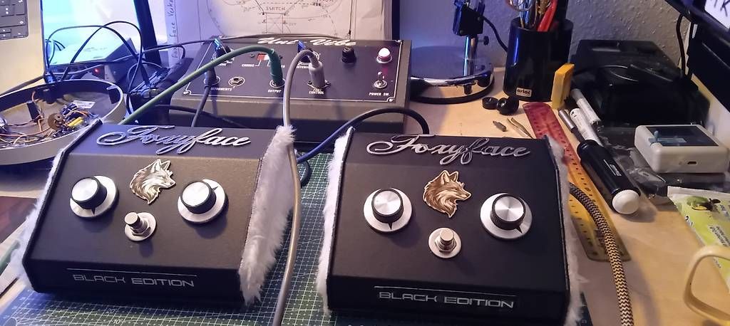 Strumenti musicali: Foxy Face - Serial No# 1 & 2 by Nullfusion Effects – Usato da Arni AG venduto da Rafael5179 2