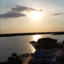 Profile image of Florida-was-nice
