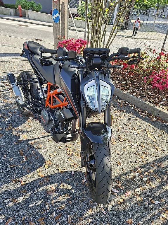 Strasse: KTM Duke 399 – Gebraucht aus Pregassona von SGconsulting