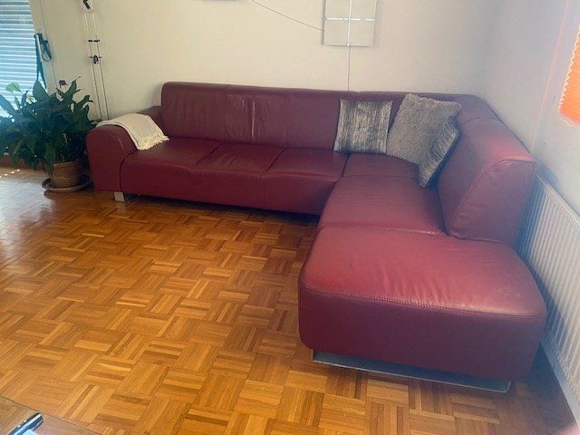 Sofas: Ecksofa Leder Bordeaux – D'occasion à Uetliburg SG par Coy1 1