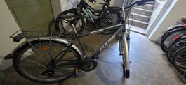 Herren Velo