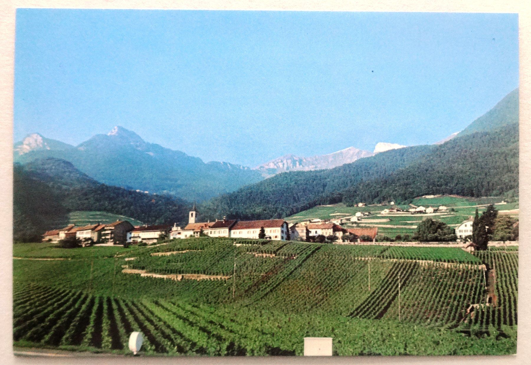 Cartes postales: Yvorne - Vue générale – D'occasion à Fétigny par Billy2miny