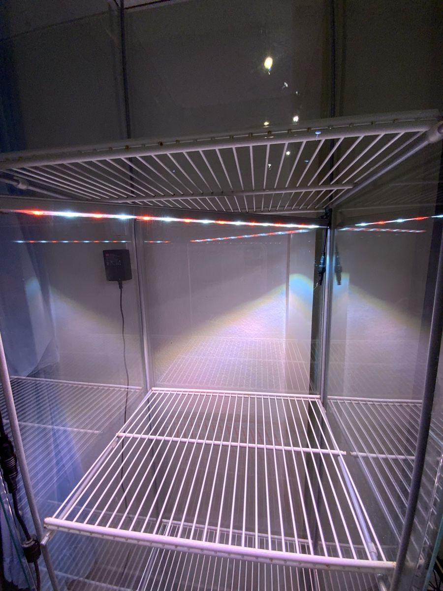 Vetrine: Pflanzen Glasvitrine  mit Beleuchtung – Usato da Zollikerberg venduto da Jvac 1