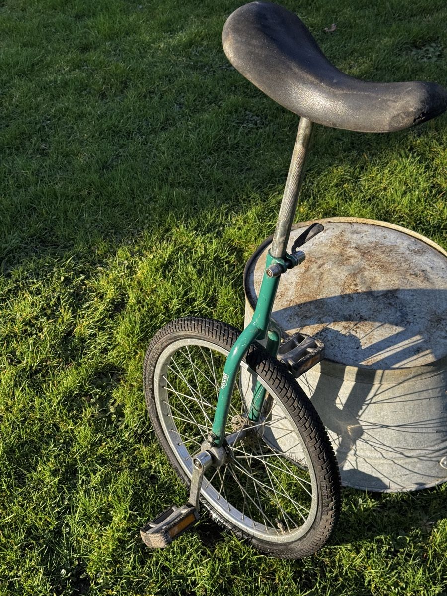 Biciclette: Einrad - Grün 20zoll – Usato da Stüsslingen venduto da leo_nzh6 4