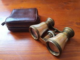 Binocolo