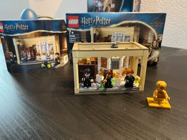 Lego Harry Potter 76386 Hogwarts Polyjuice Potion Mistake