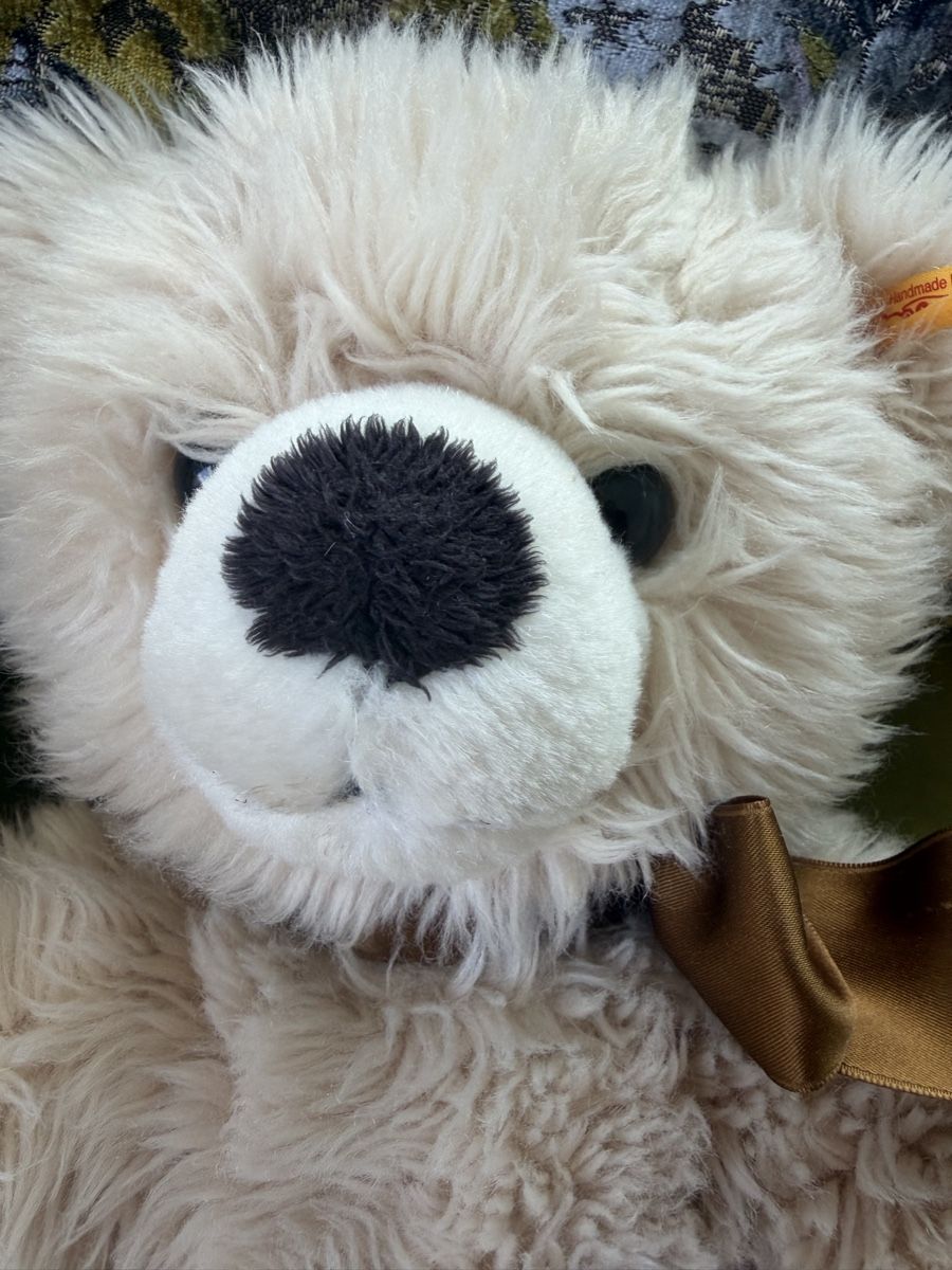 Steiff Giocattoli: Teddy bear Steiff , neuwertig – Nuovo (secondo la descrizione) da Zumikon venduto da DamenFashionShop 2