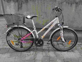 Citybike Crosswave Pro mit Korb - Perfekt für den Frühling