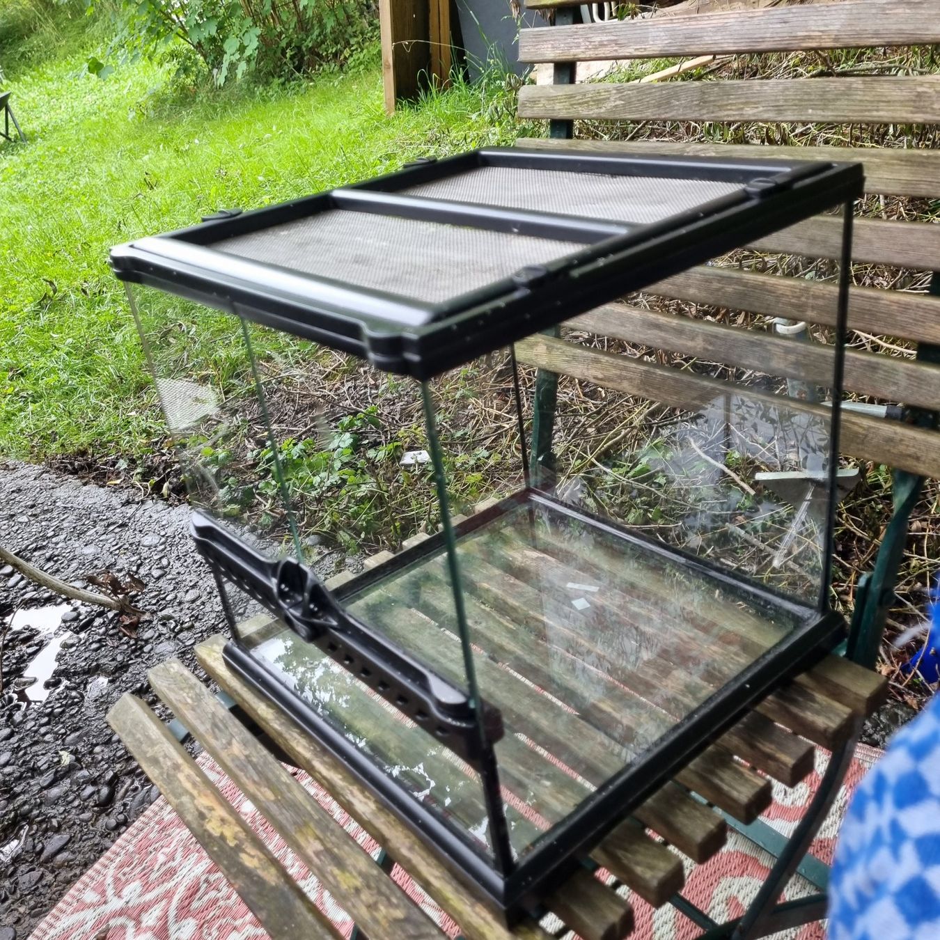 Exo terra Terrario: Terrarium Glas – Usato da Freienstein venduto da anj_2mvz 3
