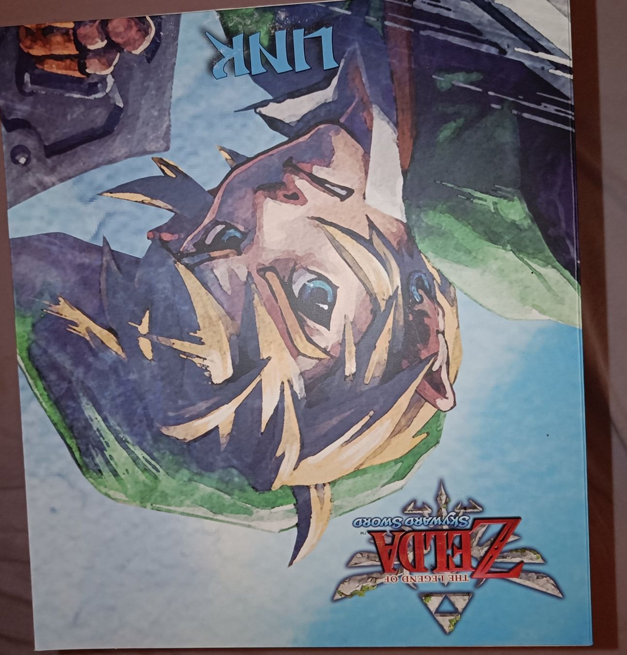 Statuette: Zelda Skyward Sword Link Figur – Usato da Küssnacht am Rigi venduto da ricard0_milos