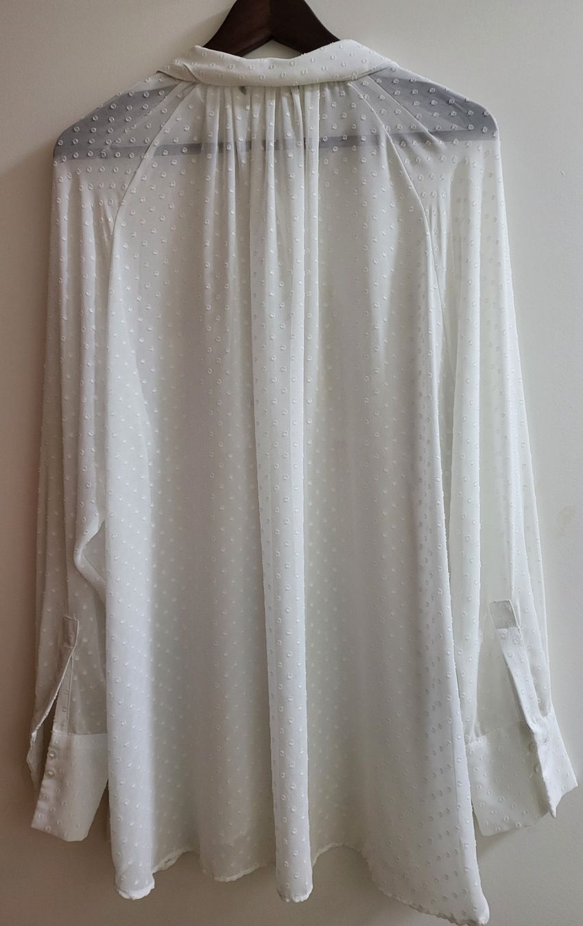 Zara Camicette: Wunderschöne Weiße Bluse mit Punktmuster – Usato da Basel venduto da sci_67ms 1