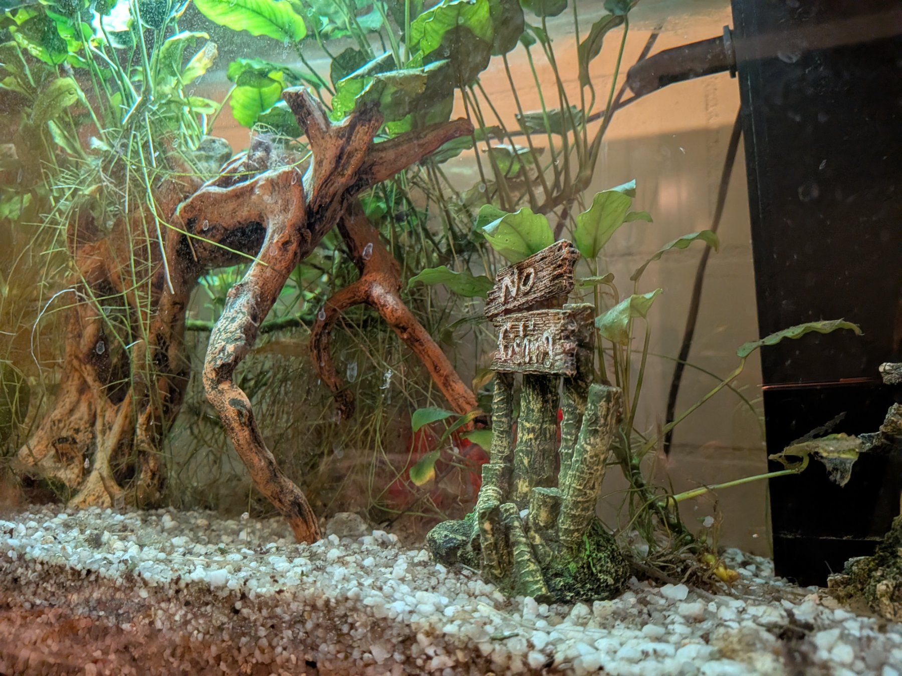 Juwel Aquarium: Aquarium 110l eingelaufen – Gebraucht aus Kloten von Struppensack 2