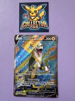 Pokemon Boltund V Fullart Rare