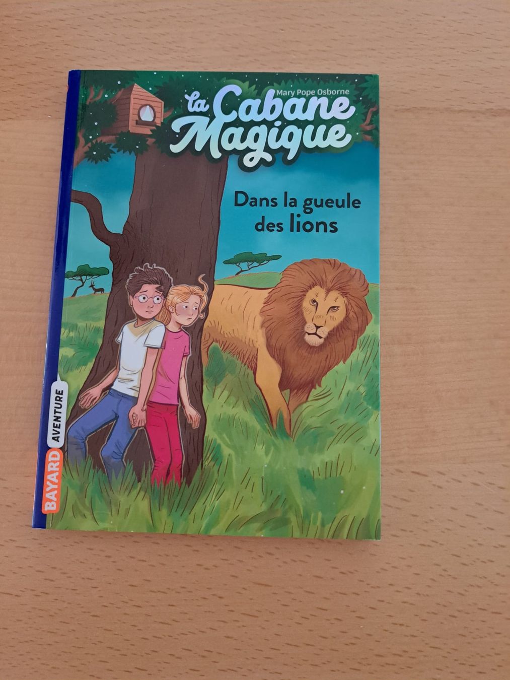 Libri: Lot de 4 livres jeunesse – Usato da Corban venduto da dameloute 3