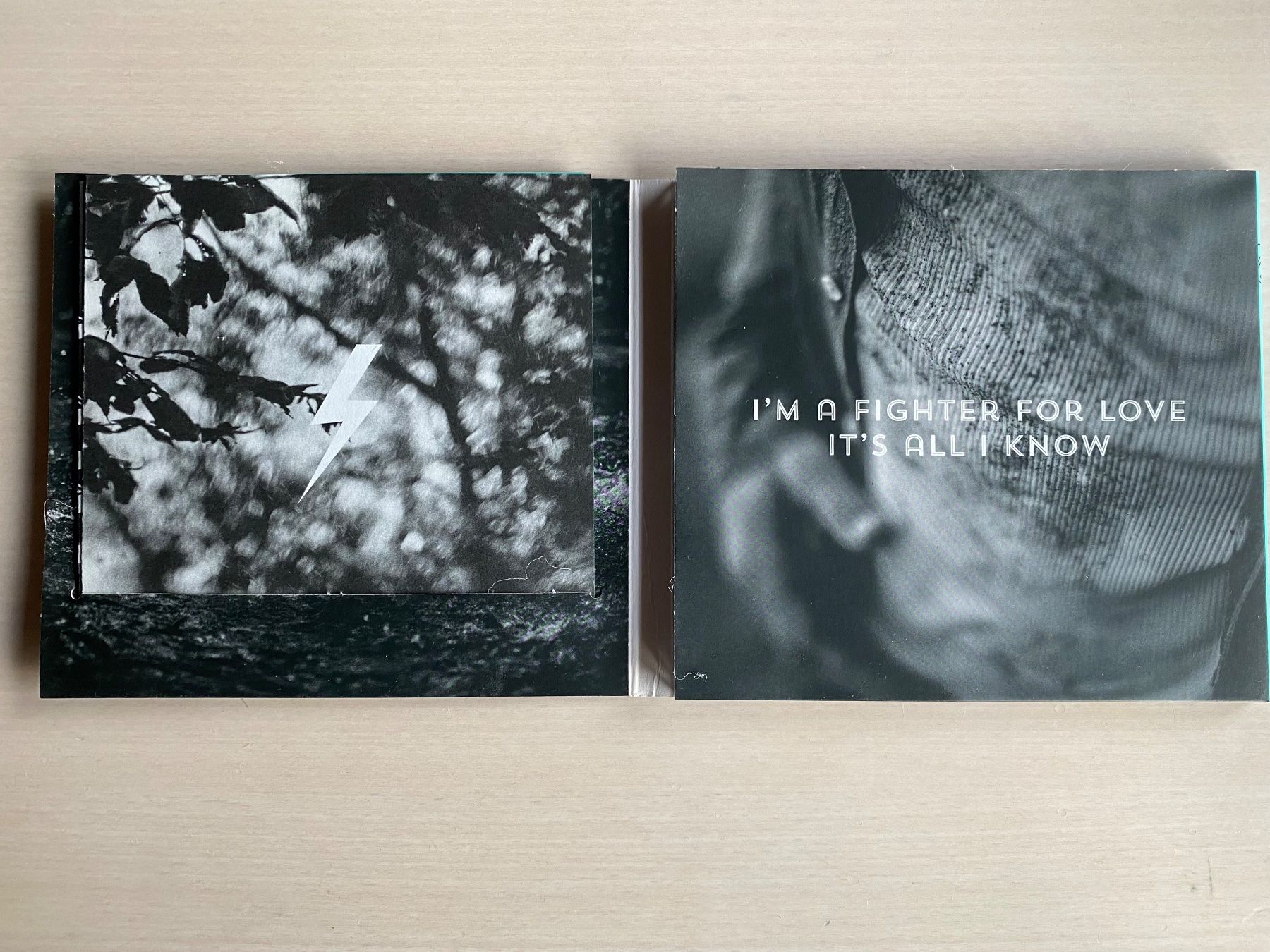 CDs: Dave Kull - Fighter for Love – Gebraucht aus Oberried Brienz von Chyara 2