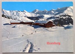 Hornberg (1811 m) ob Saanenmöser