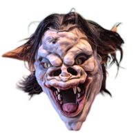 Fasnachtsmasken Larven Grinden Künstlermaske