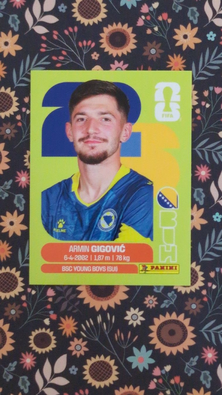 Panini Carte collezionabili: BIH 10 - PANINI - FIFA WM 2026 – Nuovo (secondo la descrizione) da Bauma venduto da tobiaskl