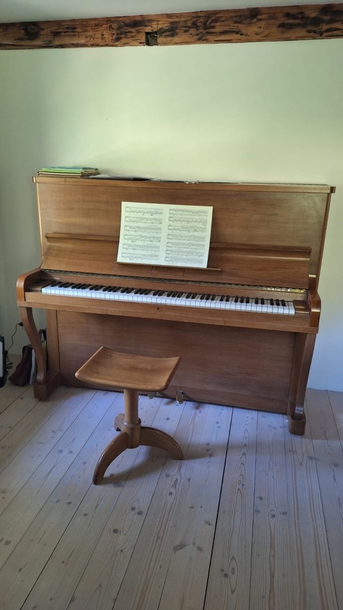 Strumenti musicali: Klavier – Usato da Wila venduto da arl_5fm9