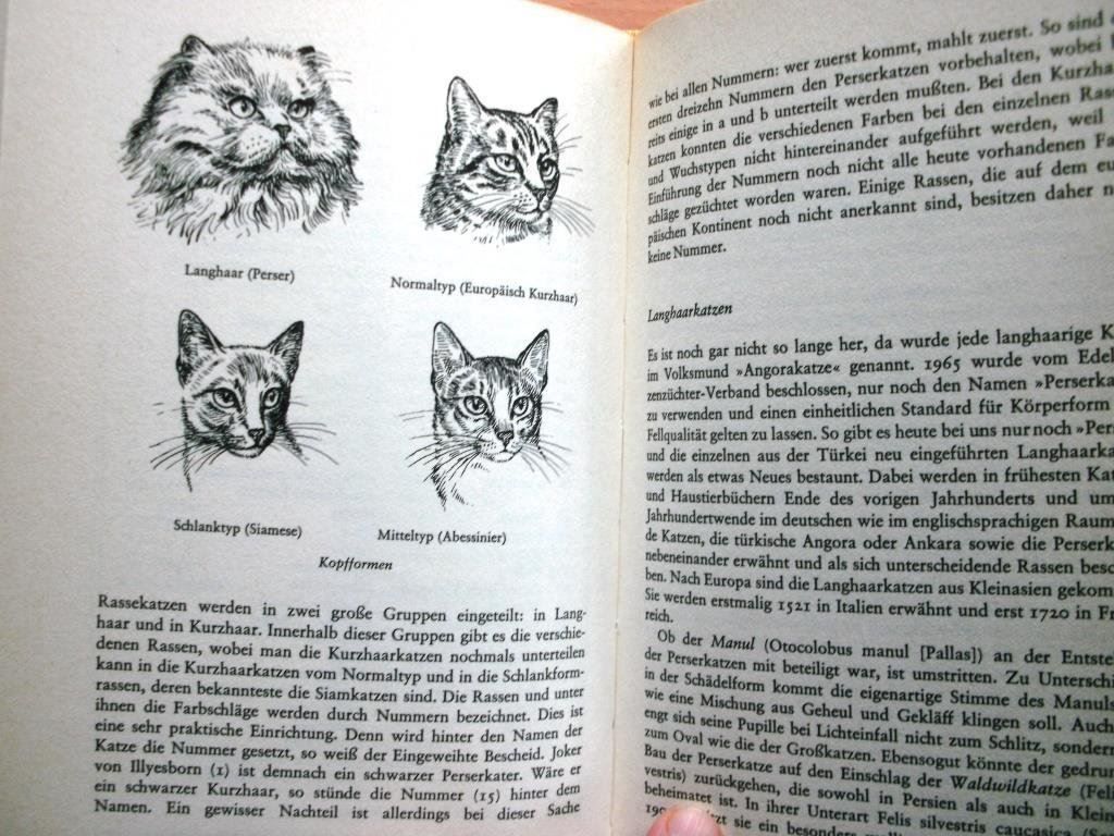 Libri: Katzenbuch – Usato da Grenchen venduto da Kogi7 7