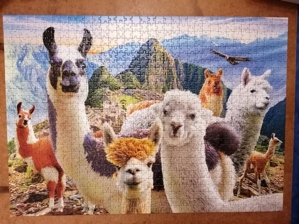 Puzzle Machu Picchu Lamas 1000 Teile Kaufen auf Ricardo