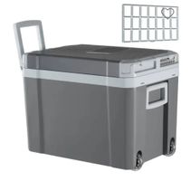 Elektrische Kühl- und Wärmebox