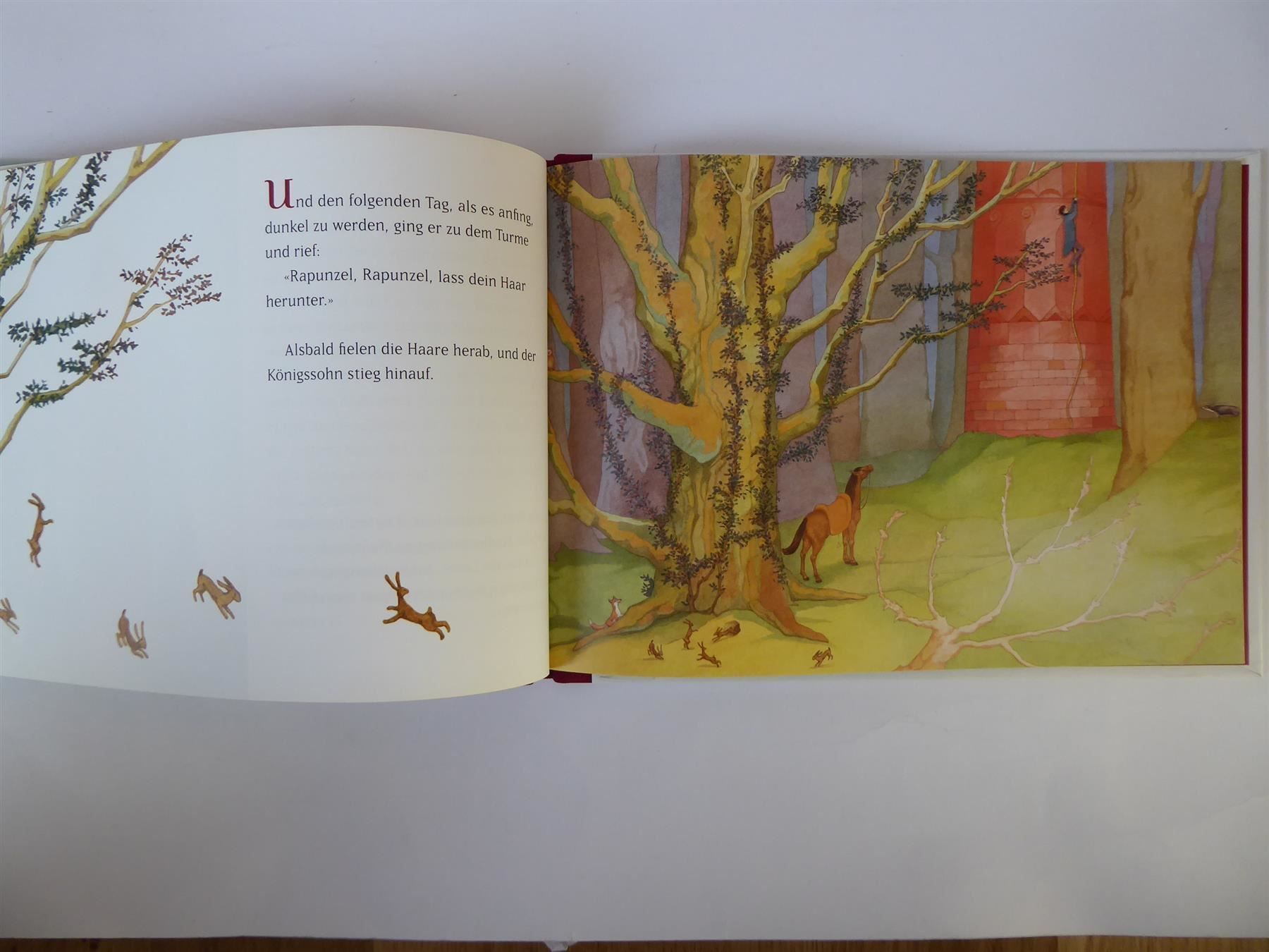 Libri: Märchen Buch Rapunzel, Brüder Grimm, neuwertig – Nuovo (secondo la descrizione) da Turbenthal venduto da TopToys 2