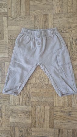 Hose