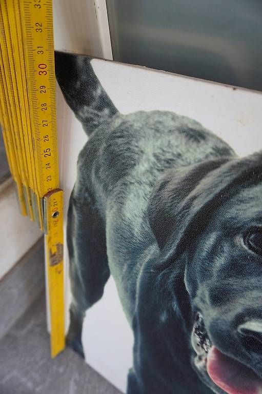 Dipinti: Hundegemälde – Usato da Kräiligen venduto da bero65 2