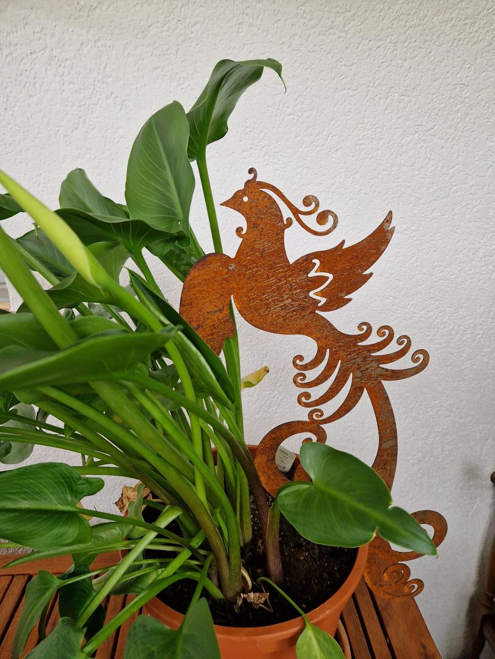 Tutte le decorazioni: Pfau Rost Blumenstecker 60x23cm – Nuovo e nell'imballaggio originale da Matzendorf venduto da Gartendeko-Shop 9