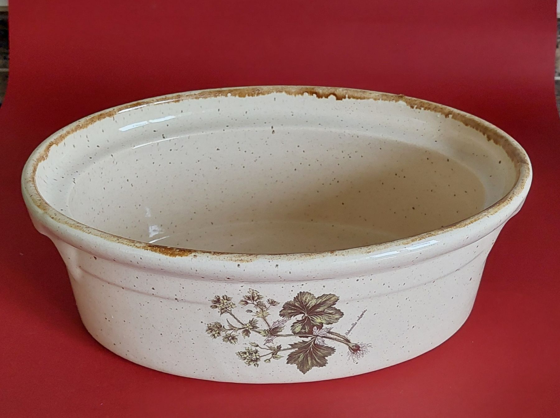 Elettrodomestici da cucina: Auflaufform mit Pflanzen bemalt. Mit Deckel. – Nuovo (secondo la descrizione) da Zizers venduto da Pinot55 4