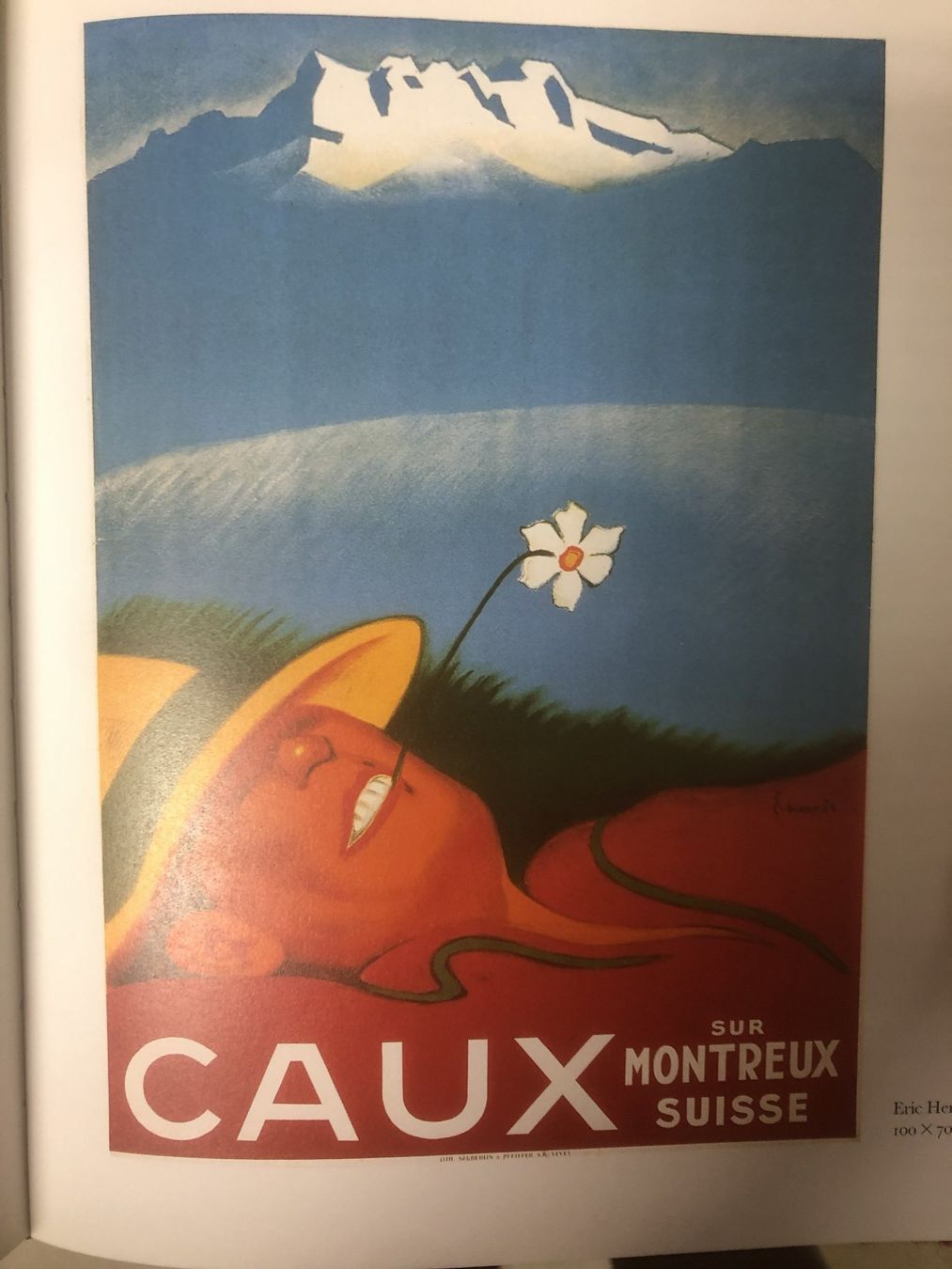 Libri: Livre "Les Affiches du Léman" – Usato da Bôle venduto da nic_7cxp 1