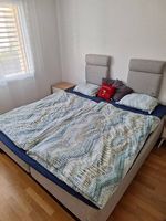 Boxspringbett Svane