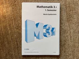 Mathematik 3.1. 1. Semester Martin Spaltenstein Lehrmittel