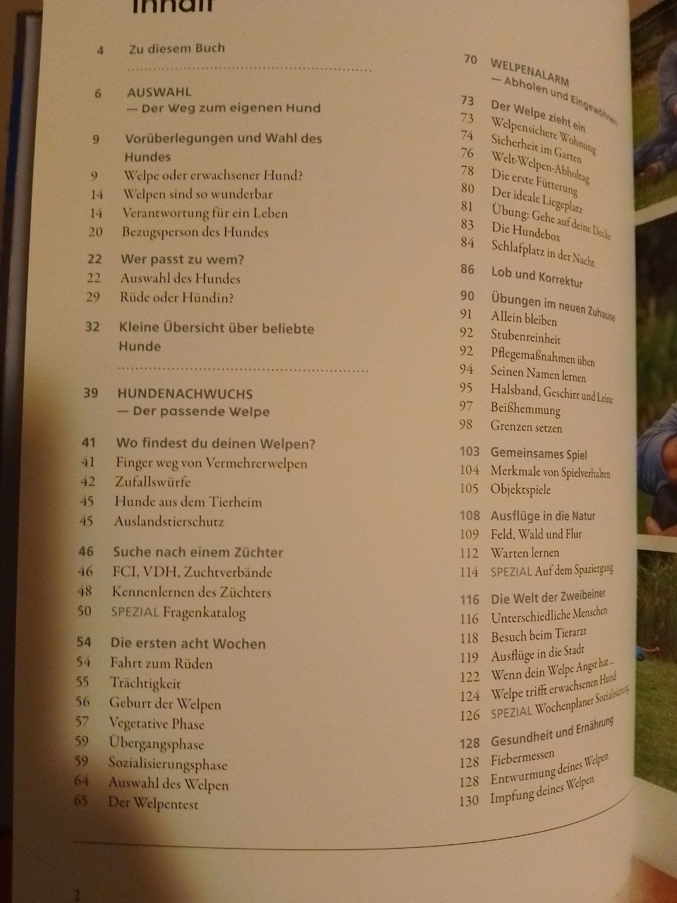 Libri: Martin Rütter Welpen Training – Nuovo (secondo la descrizione) da Schaffhausen venduto da Icedearth82 2