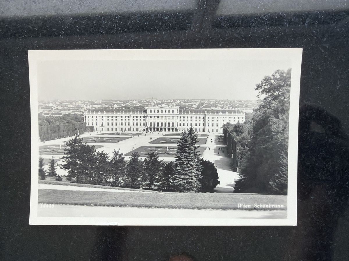 Cartoline postali: Ansichtskarte Wien Schloss Schönbrunn – Usato da Wettingen venduto da BAG4478