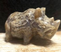 Rhinozeros / Nashorn Moosachat 80g
