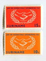 Briefmarken "International Cooperation Year". Suriname.