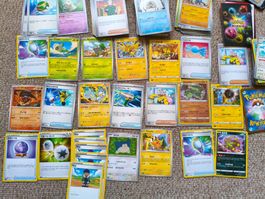 Pokémon Karten Sammlung