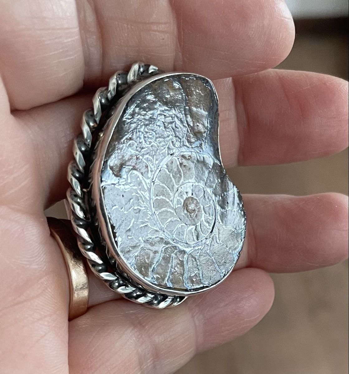 Anelli: Silber-Ring, Ammonit Fossil, Unikat – Nuovo e nell'imballaggio originale da Ebikon venduto da elischka 2