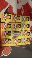 Panini Fussballstickers Deutschland Set