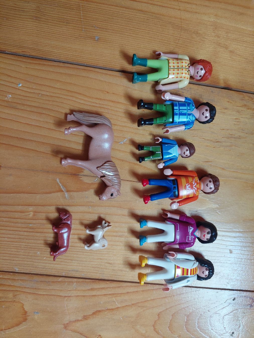 Playmobil Spielzeuge: Playmobil Tierartzt – Gebraucht aus Bächli (Hemberg) von Stern015 9