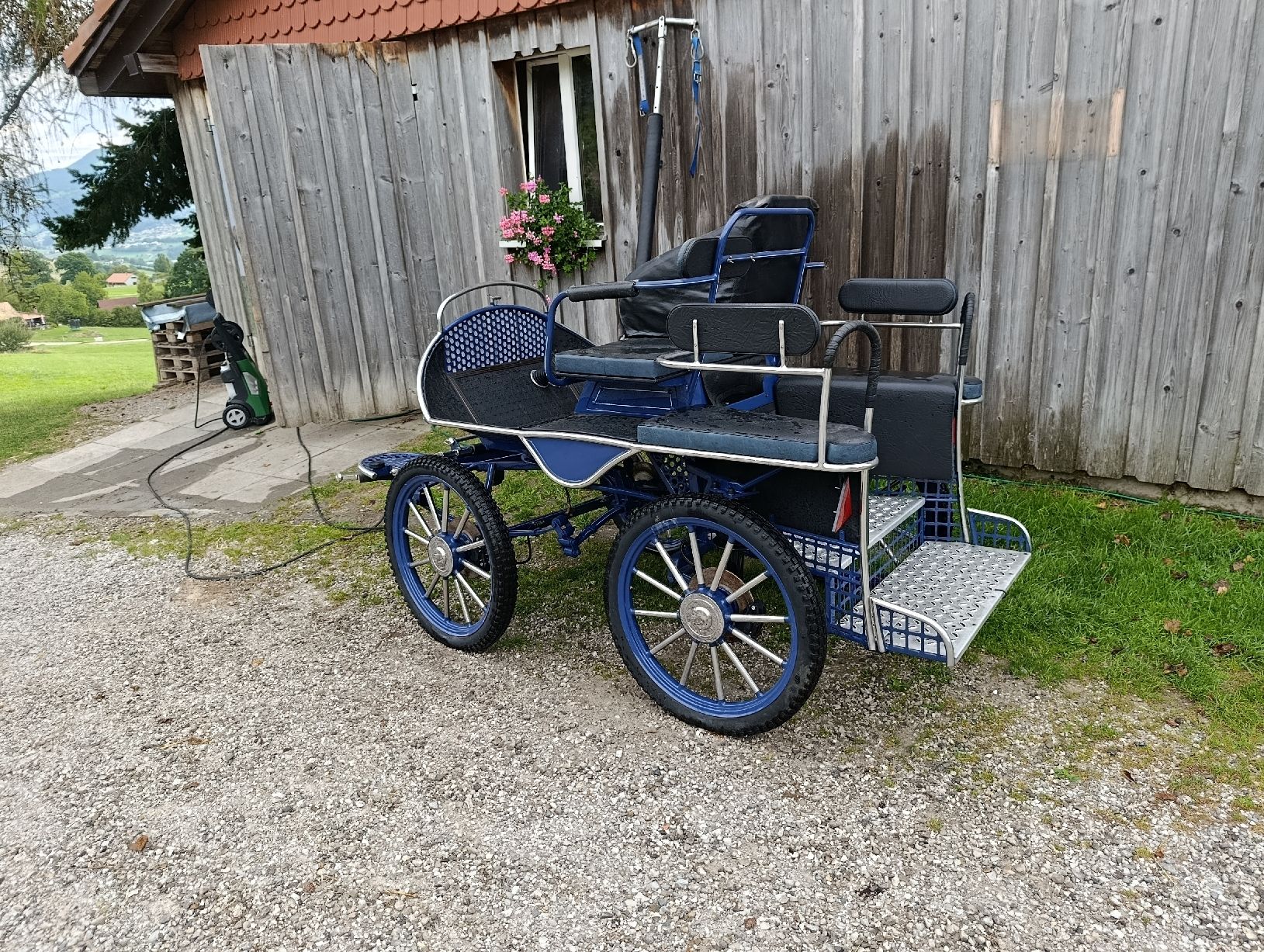 Carrozze: Char d attelage  – Usato da Sorens venduto da Fano 4