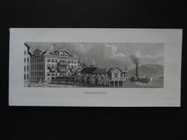 Beckenried Vierwaldstättersee