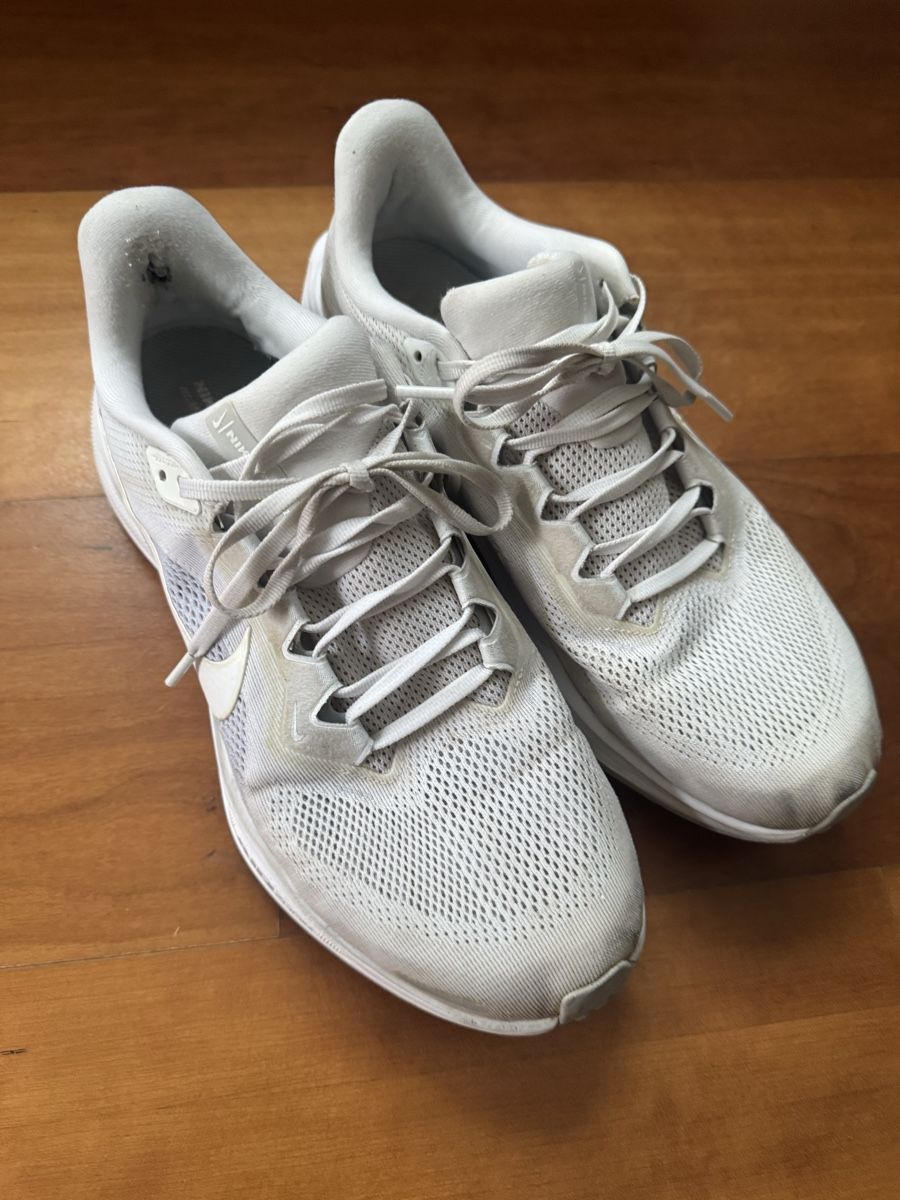 Nike Chaussures hommes: Nike Pegasus Grösse 45 – D'occasion à Wettswil par alstel24 5