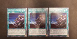 Yugioh Geschwisterbund KICO