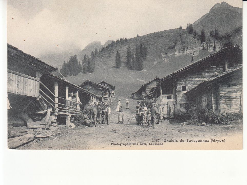 Cartoline postali: Taveyannaz ca. 1910 – Usato da Bürglen TG venduto da StampGraf