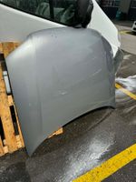 VW Passat 3B Motorhaube